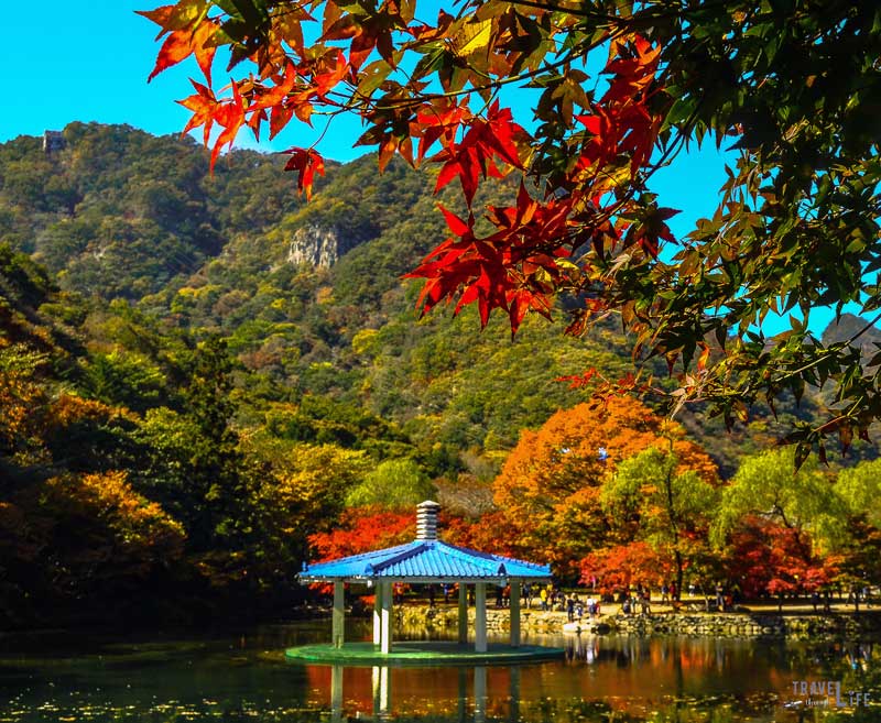 South Korea Naejangsan National Park