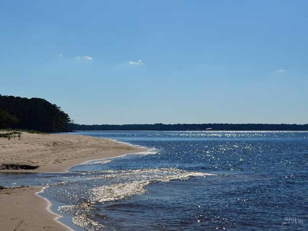 Croatan National Forest North Carolina Image