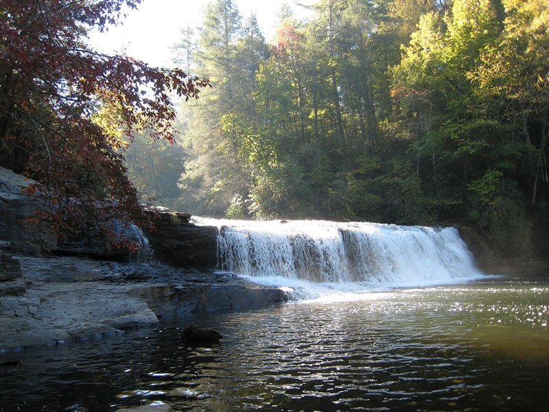 Image result for DuPont State Recreational Forest.