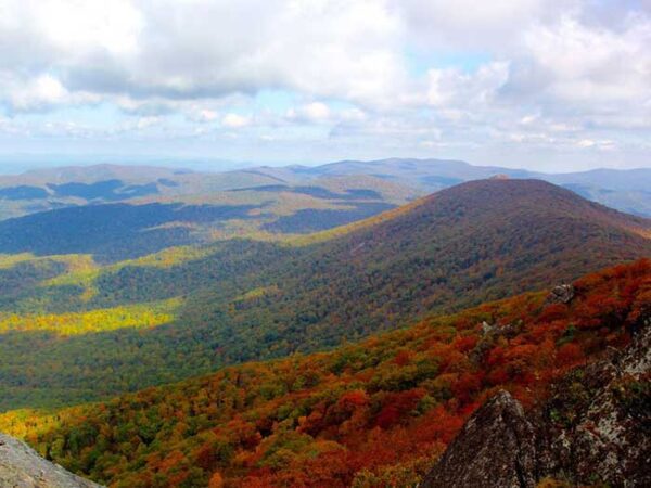 Fall Shenandoah National Park USA Photo by Julie McCool