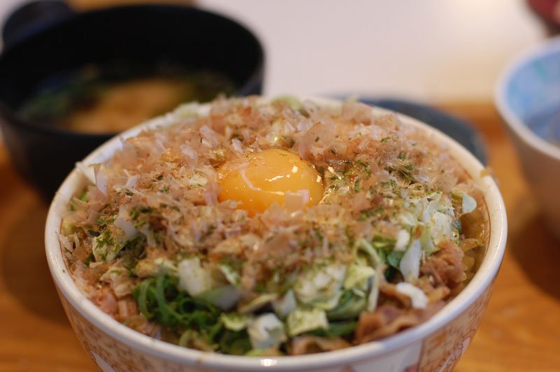 Japanese Food Donburi Photo Credit Flickr User Kimishowota