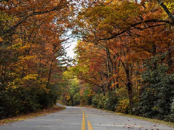 Places to Visit in the US during Fall Blue Ridge Parkway Image