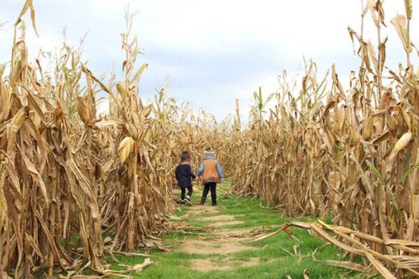 Southern Ohio in Fall Photo by Hallie Bradly The Seoul of Soul