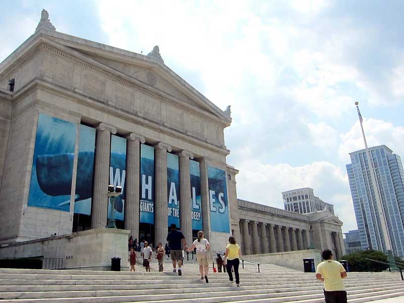 Chicago Field Museum of Natural History Photo by Flickr User Allison Meier