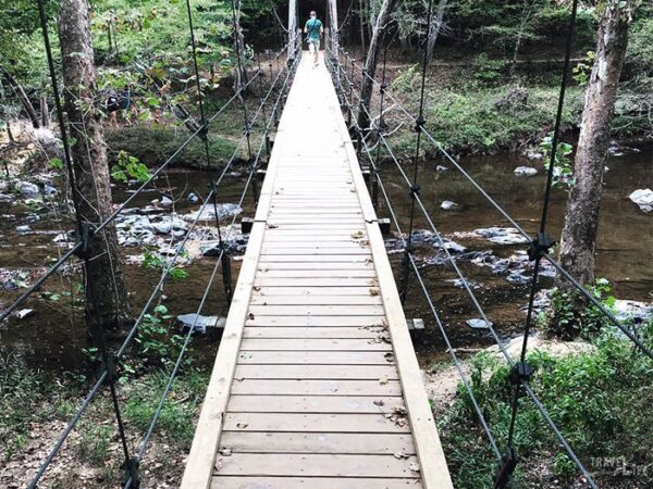 Eno River State Park Durham NC Cox Mountain Trail Image