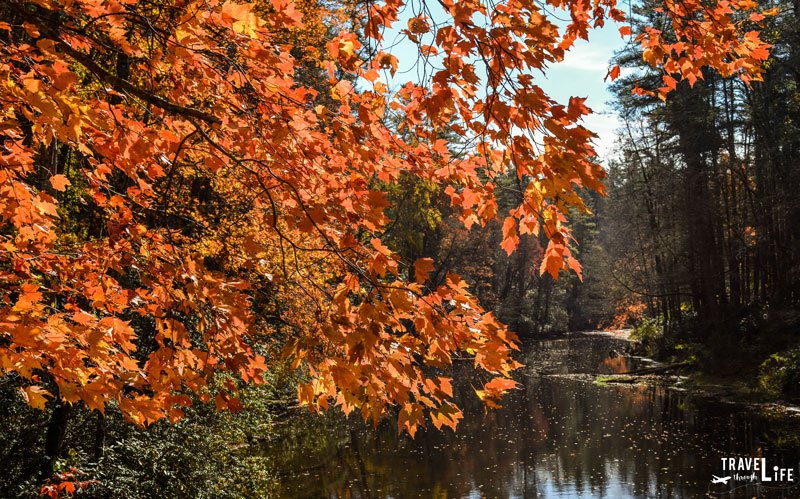 Linville Fall Foliage North Carolina USA