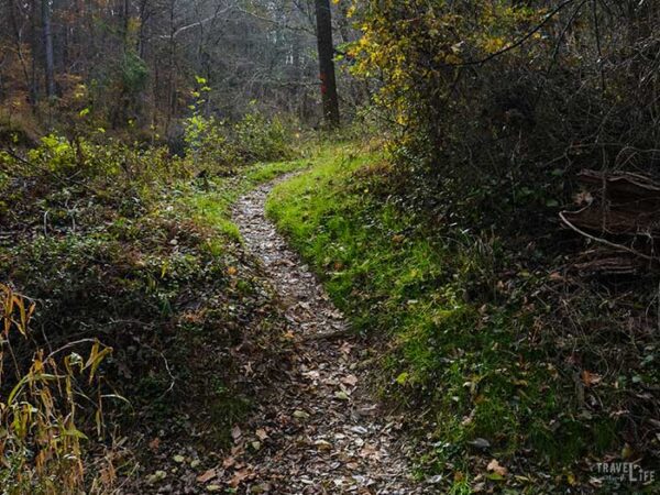 Outdoor Things to Do in Durham NC Pennys Bend Image