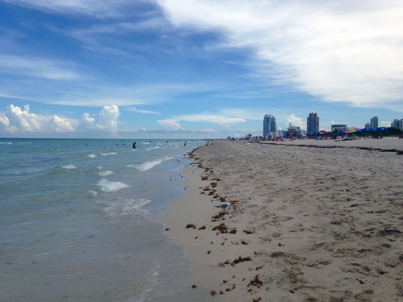 South Beach Miami Photo by India Amos