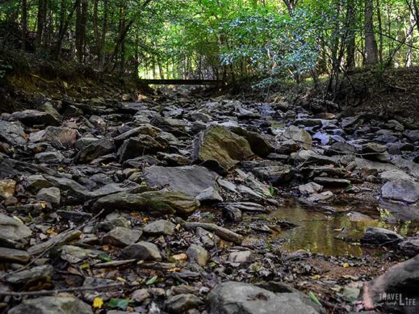 Glen Burney Trail Hiking in North Carolina Image