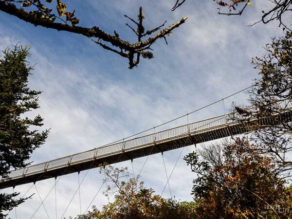 North Carolina Attractions Grandfather Mountain Image