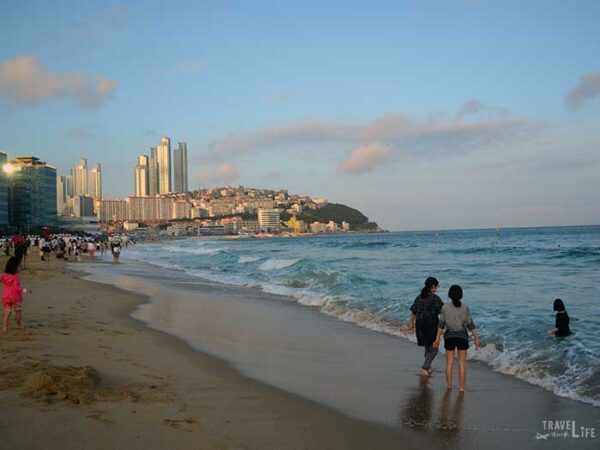 South Korea Road Trip Travel Guide Haeundae Beach in Busan Image