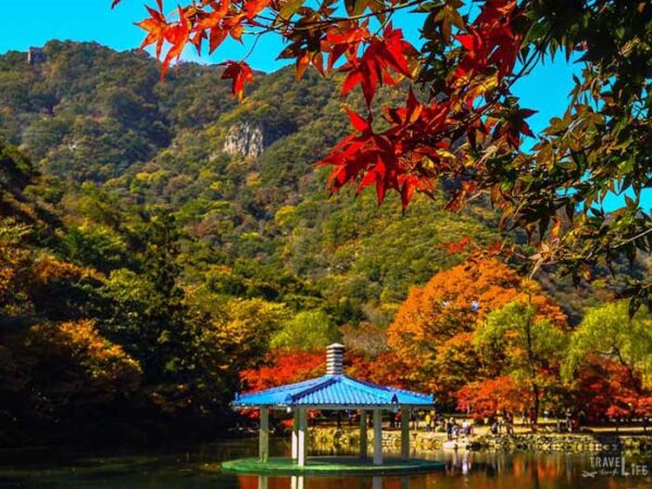 South Korea Road Trip Travel Guide Naejangsan National Park Image