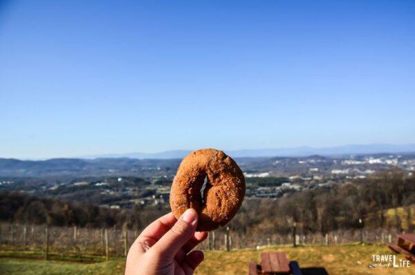 Carter Mountain Apple Orchard