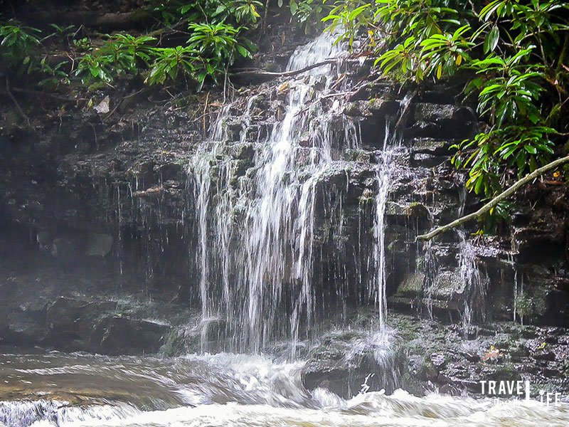 What to do in Virginia Cascade Falls Regional Park