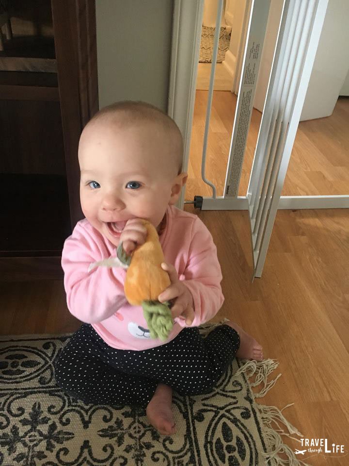 Baby Travel Eating Real Food