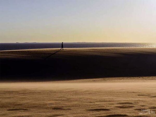 Jockeys Ridge State Park North Carolina Sand Dunes