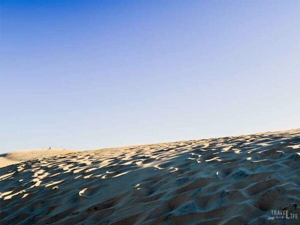 Jockeys Ridge State Park Sand Dune Ridge