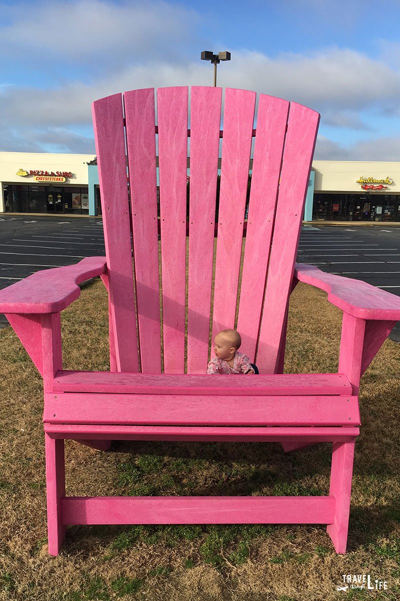 Older Baby Travel Highchair