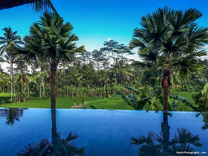 Where to stay in Bali Kota Bambu Facility