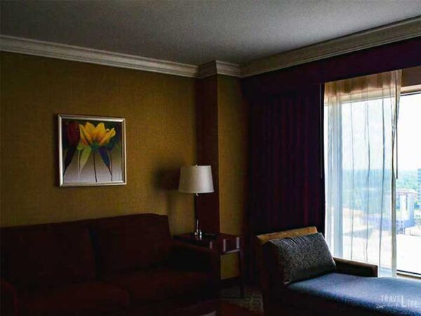 Hotels in Charlotte NC Hilton Charlotte Center City Image