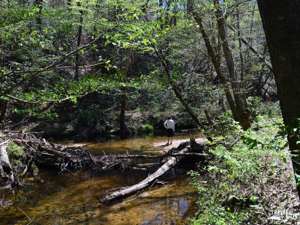Best Hiking Trails in NC Raven Rock State Park Campbell Creek Loop Trail