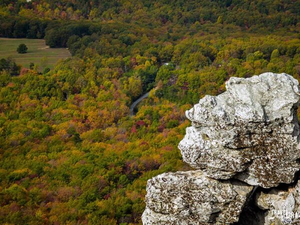 Best Places to Hike in NC Hanging Rock State Park Moores Wall