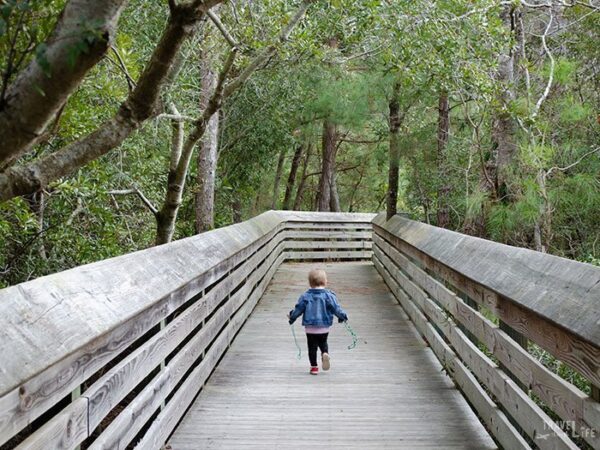 Hiking North Carolina Nags Head Woods Outer Banks Image