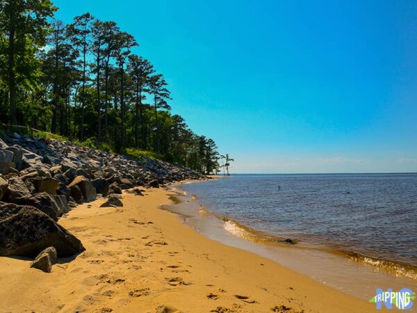 Hiking Trails in North Carolina Neusiok Trail Croatan National Forest