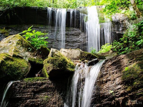 Hiking in North Carolina Grassy Creek Falls Little Switzerland NC Image