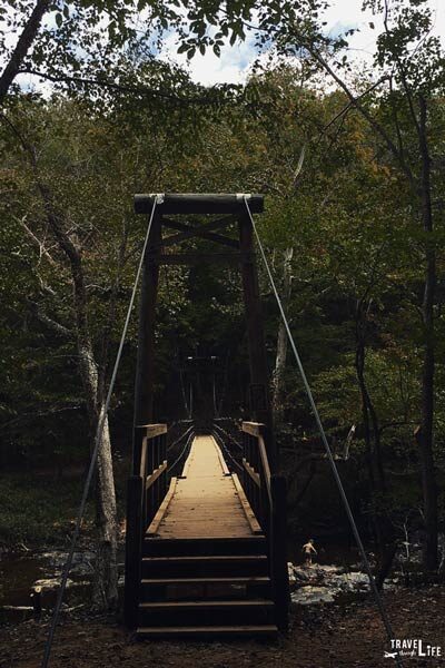 Hiking in North Carolina near Raleigh Cox Mountain Trail Eno River State Park Durham