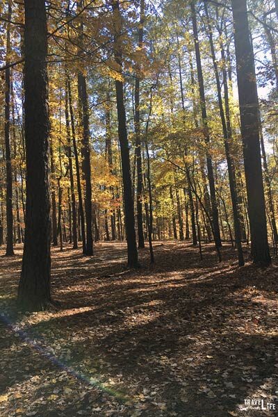 Hiking in North Carolina near Raleigh Umstead State Park