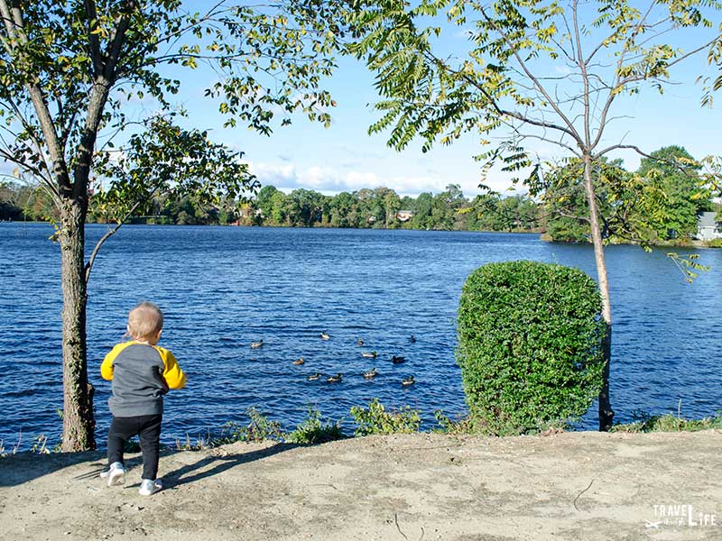 Delaware Attractions Silver Lake Park Dover