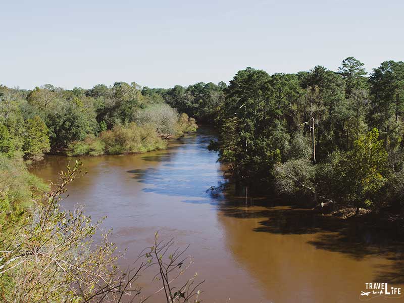 Things to do in North Carolina Cliffs of the Neuse State Park