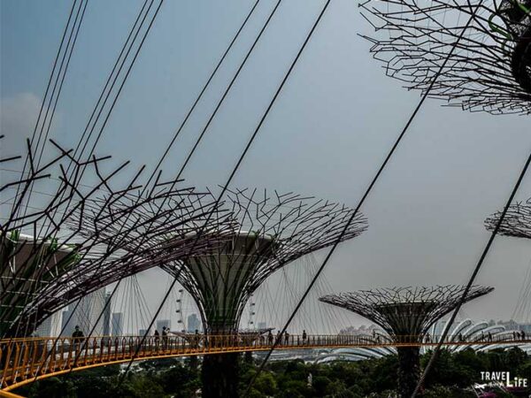 Places to Visit in Southeast Asia Singapore Gardens by the Bay Image