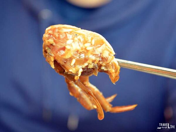 Travel to South Korea Things to Know Marinated Raw Crab Yeosu Image