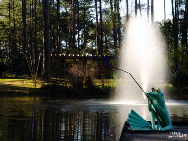 Winter Things to Do in Fayetteville NC Cape Fear Botanical Garden Holiday Lights Image