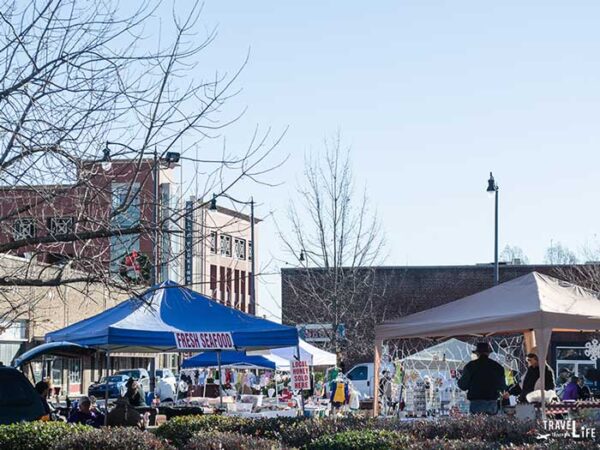 Winter Things to do in Fayetteville NC City Market at the Museum Image