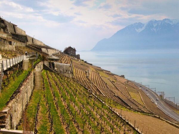 Things to Do in Lake Geneva Switzerland Vineyards Image by Anna Timbrook