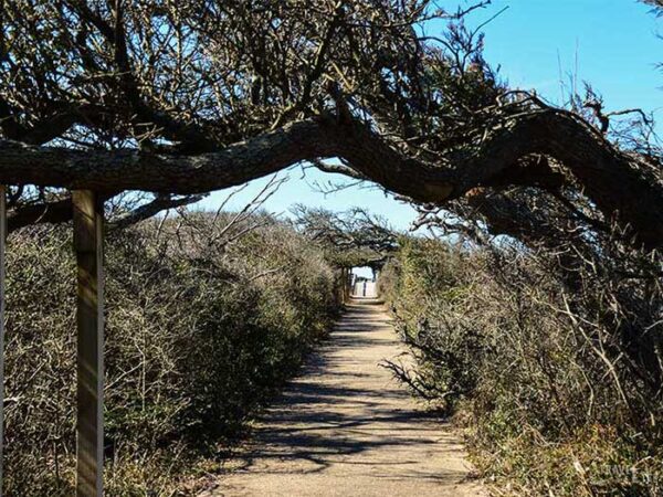 What to Do in Outer Banks Pea Island National Wildlife Refuge Image