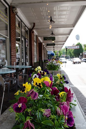 Virginia Attractions Roanoke Farmers Market Image