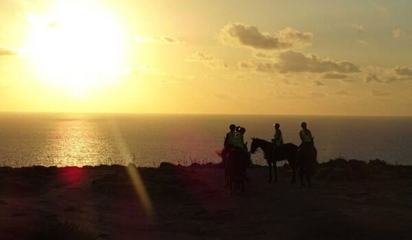 What to Do in Malta Golden Bay Sunset Horse Ride Image by Ricky Marshall 