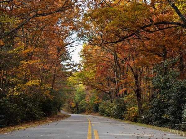 Blue Ridge Parkway North Carolina Image