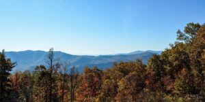 Fall Things to Do in North Carolina Travel Guide Featured Image
