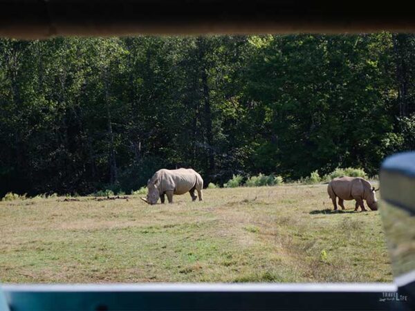 Things to Do in Asheboro NC Zoo Image