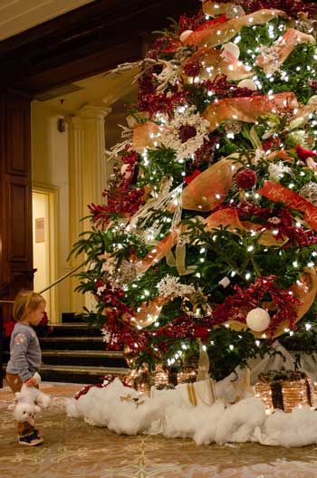 Hotel Roanoke Christmas Trees Kid Image