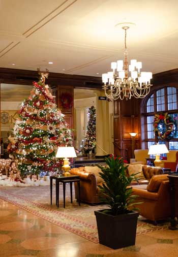 Hotel Roanoke Virginia Christmas Lights Image