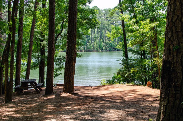 Camping Spots at Hickory Knob are also close to the water.